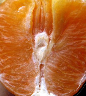 Прикрепленное изображение: 42910060_13516_01.jpg